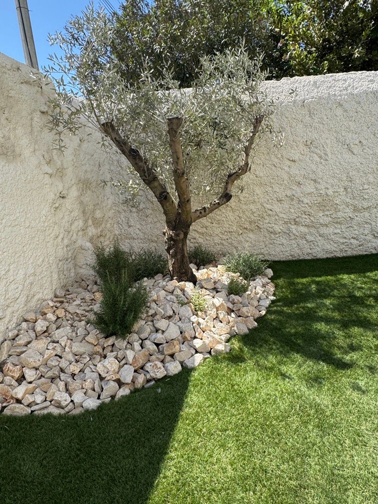 20260424_CARRE VIAS_Jardin.jpg