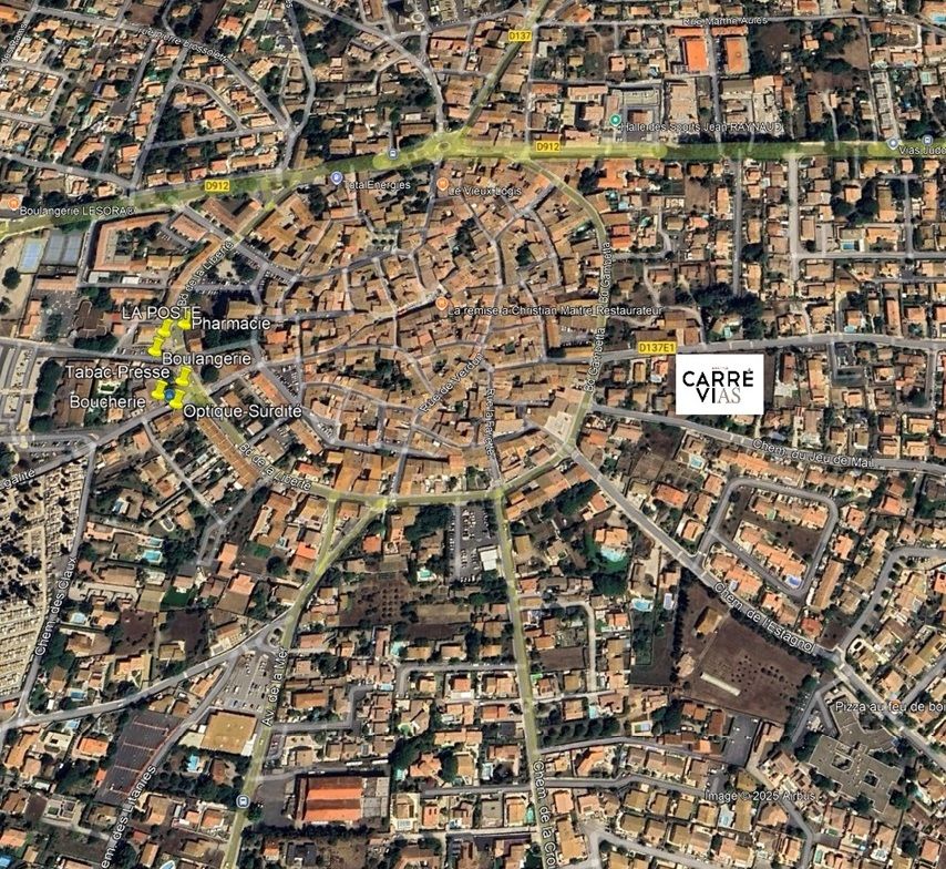 CARRE VIAS_Vue Google Earth.jpg